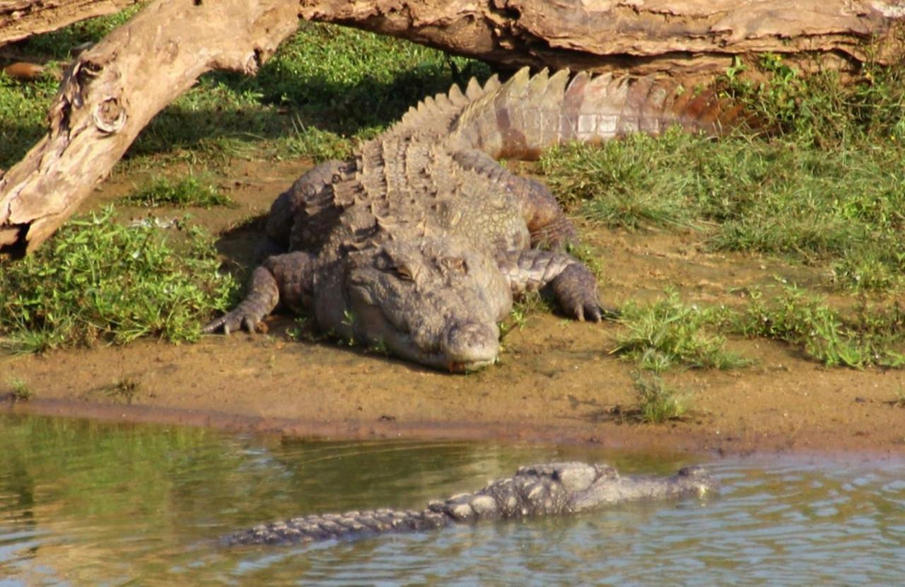 Humbhaha Jungle Yala Nature Eco Resort Kataragama Exterior foto