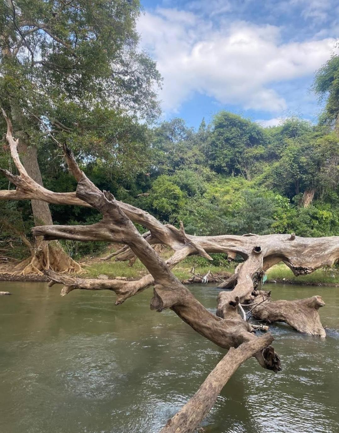 Humbhaha Jungle Yala Nature Eco Resort Kataragama Exterior foto
